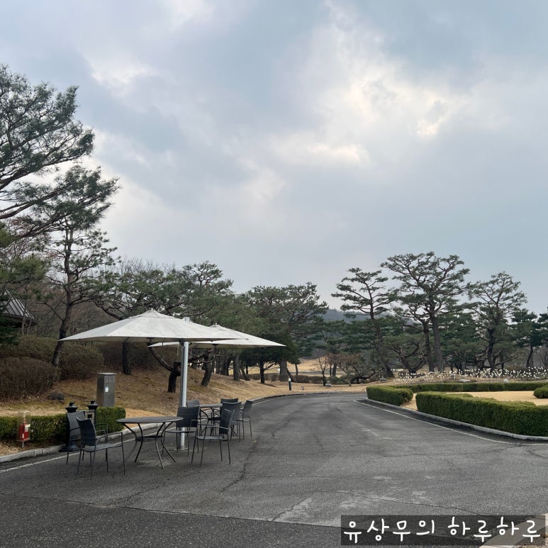 글로벌바람공오 이미지