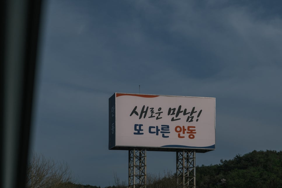 안동미트 이미지