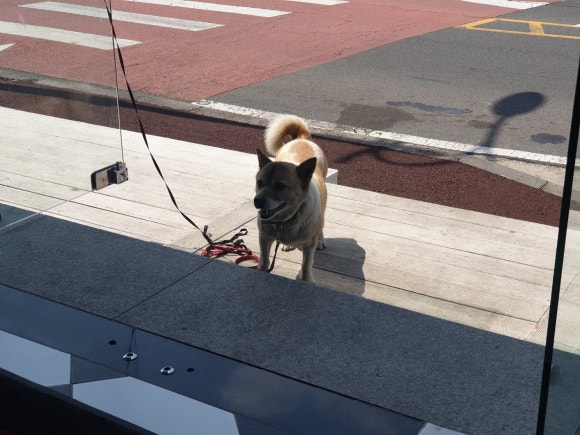 인스턴트버거 이미지