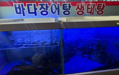 고흥장어마을 이미지