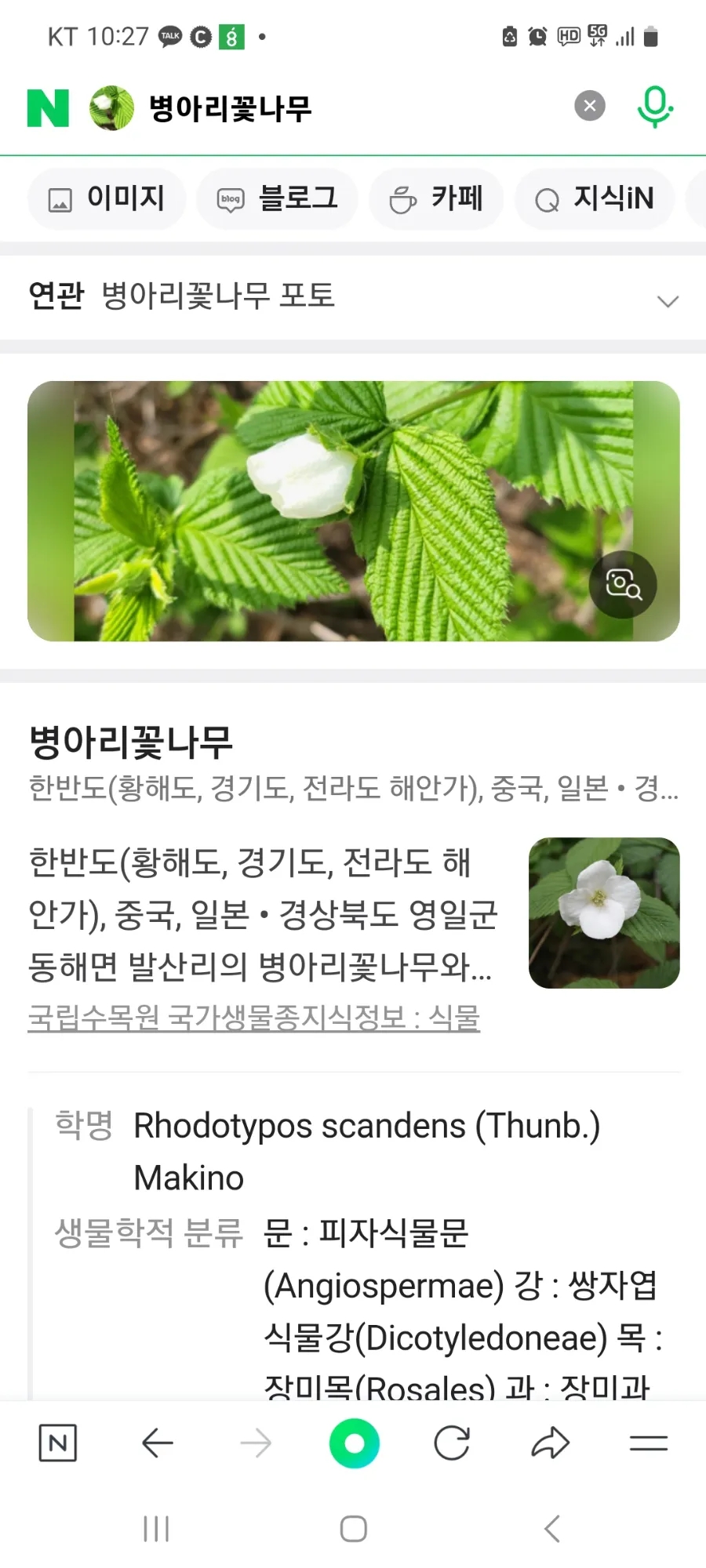 유잼대전 이미지