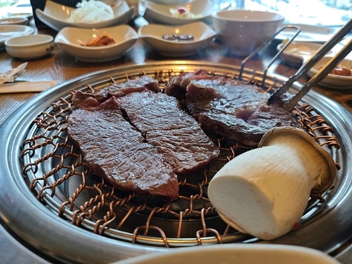즐거운하누 이미지