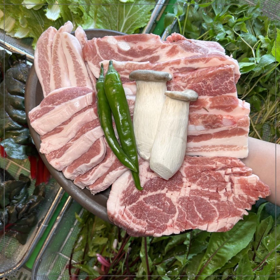 조아조아고기조아 이미지
