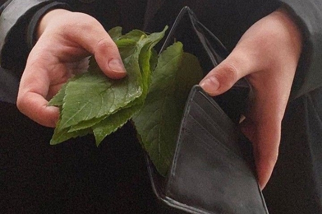 만찐두빵 이미지