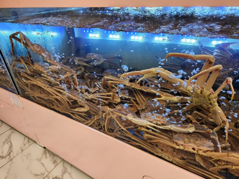 어서오시게 이미지