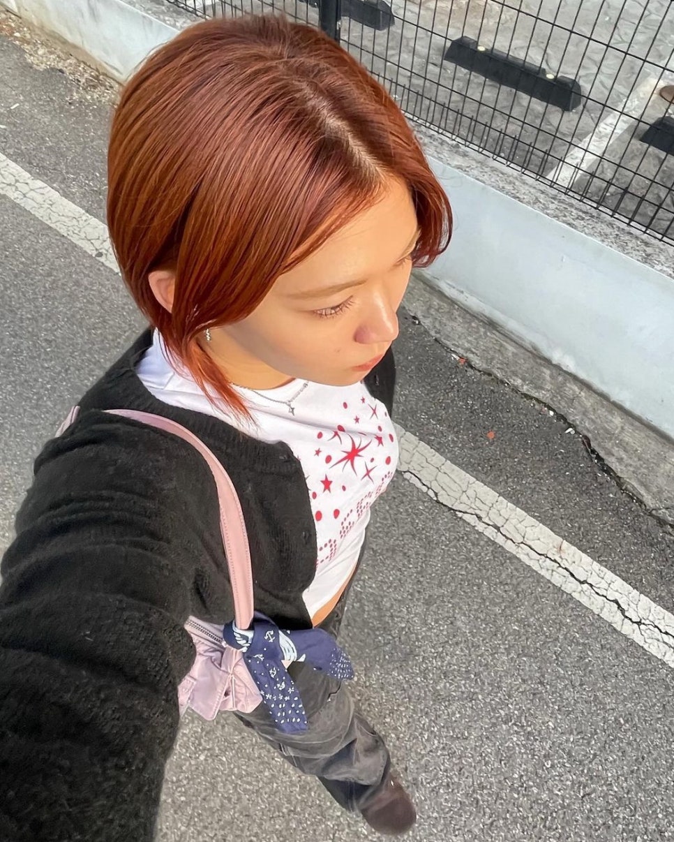 헤어브릭 이미지