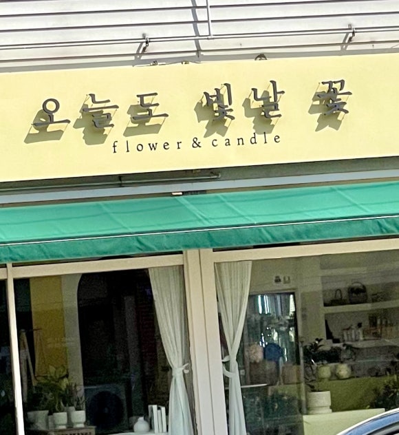 오늘도빛날꽃 이미지