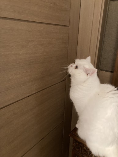 복둥이밥상 이미지