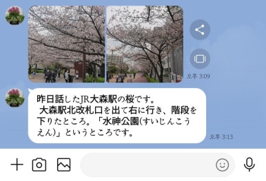 스이진 이미지