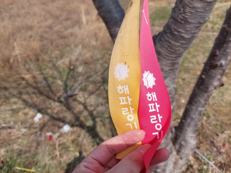 거창한바다 이미지
