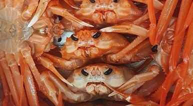 한방수산 이미지
