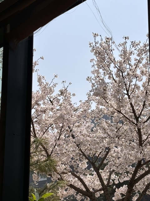 순대가옥 이미지