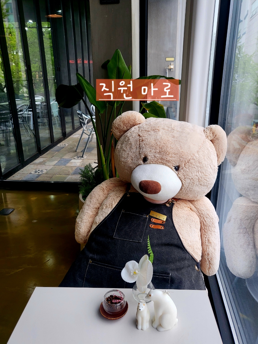 마들렛먼로 이미지