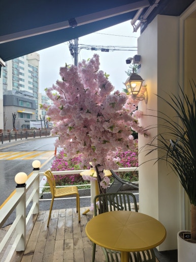 도니블랑 이미지