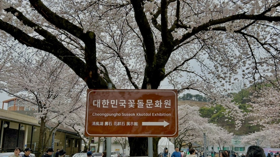 제천청사진 이미지