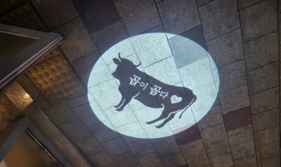 대구곱이곱다대구 이미지