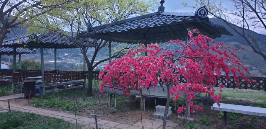 소슬락 이미지