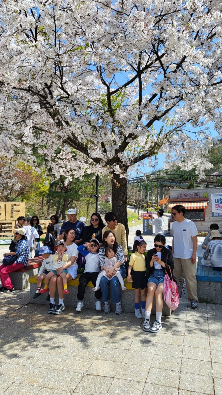타이니포춘 이미지