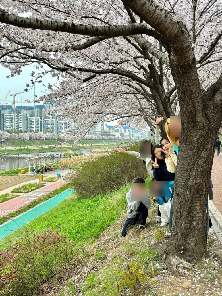 미복 이미지