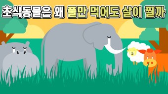 오늘보울 이미지
