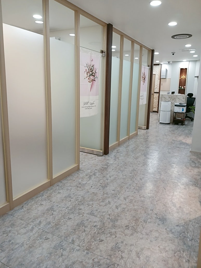 휴먼가발 이미지