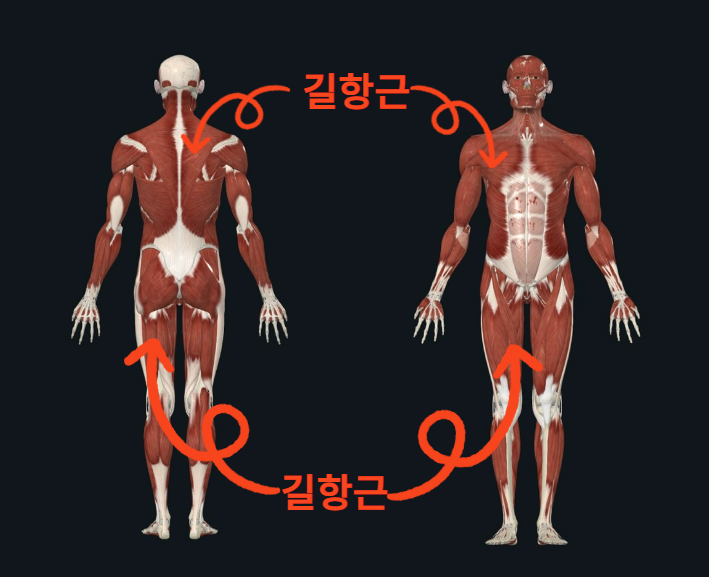 무지개슈퍼 이미지