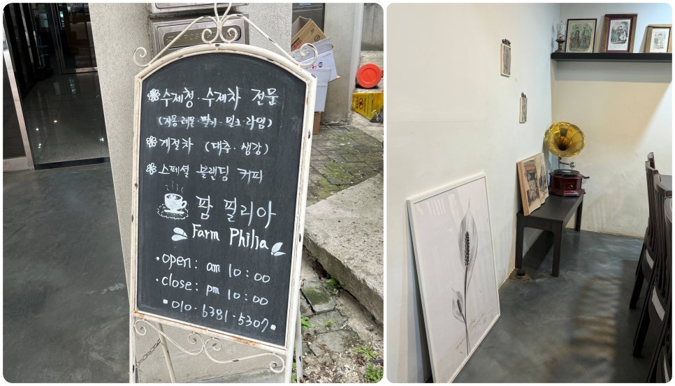 팜필리아 이미지