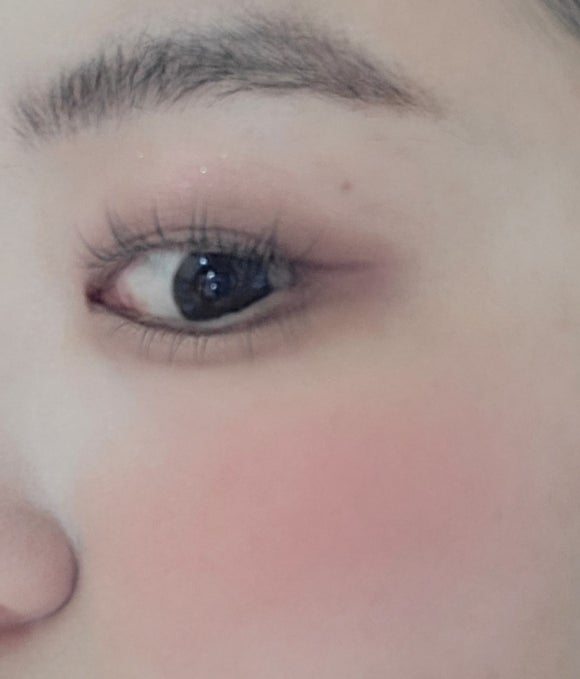 보누르 이미지