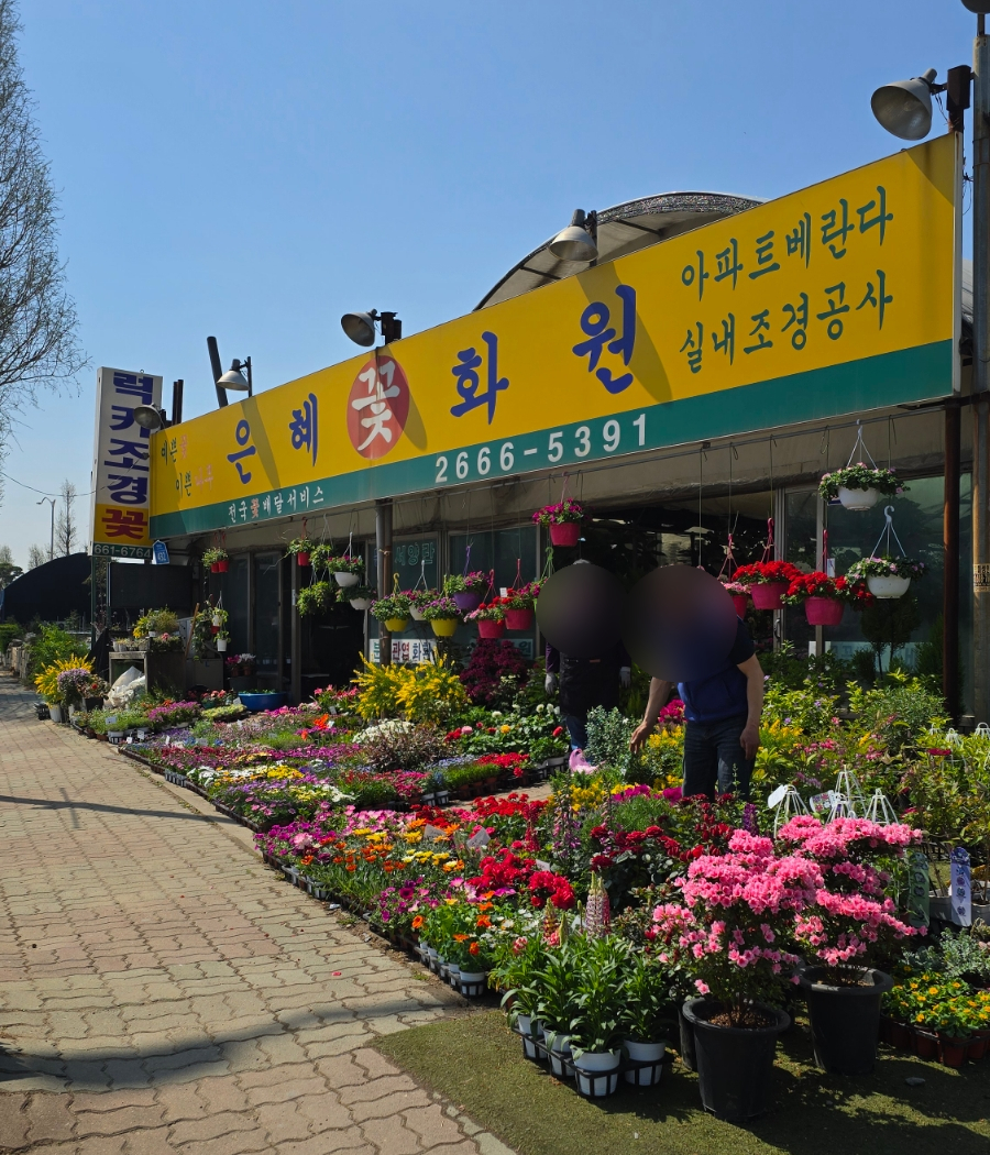 은혜화원 이미지