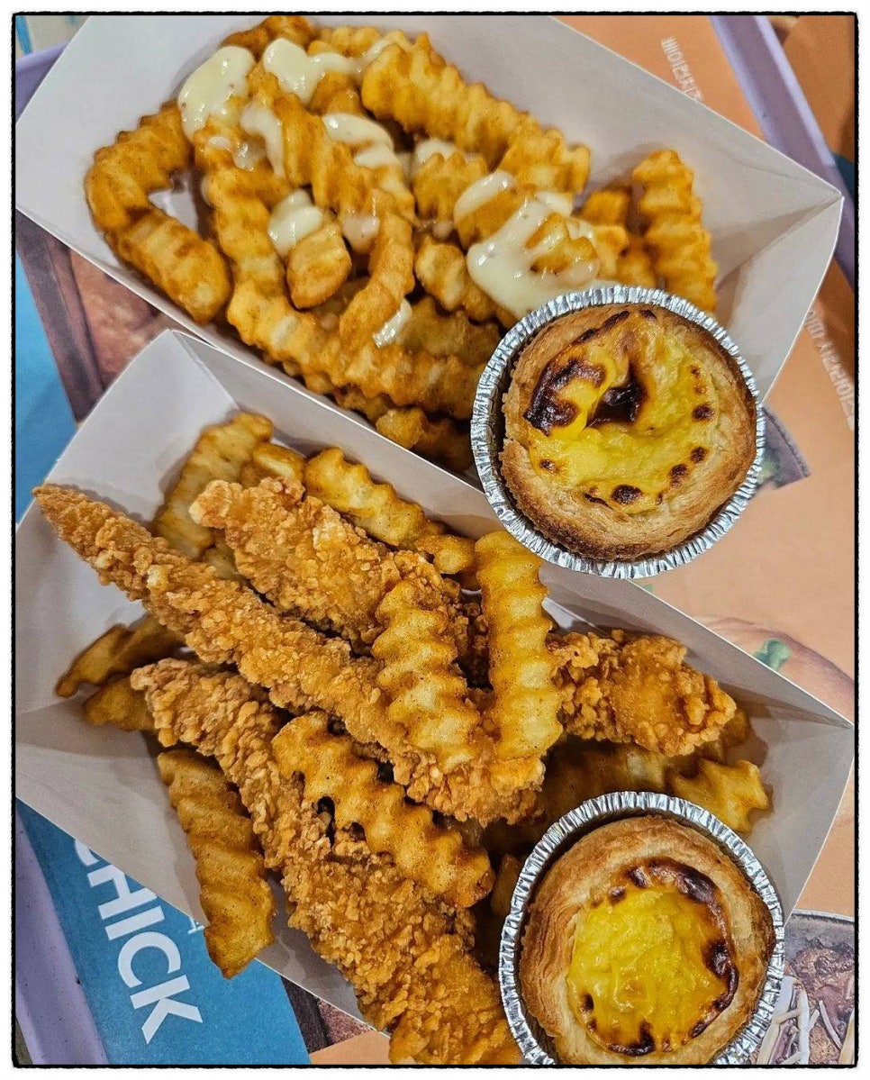 바이베어 이미지