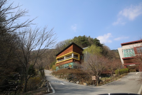 생거진천 유아숲체험원 이미지