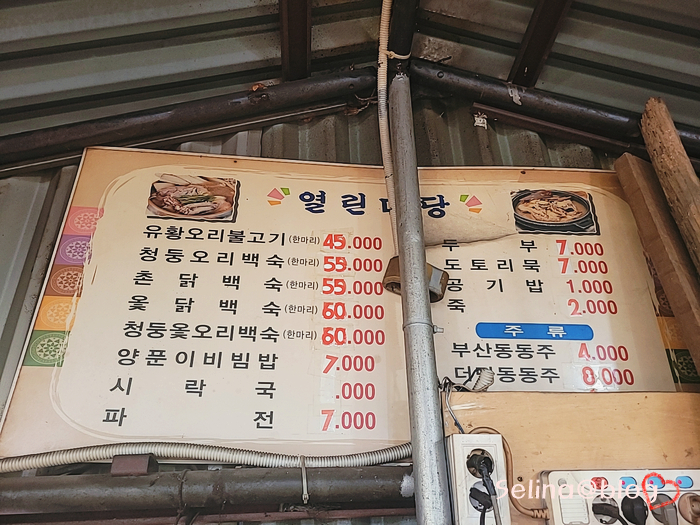 천둥옻오리 이미지