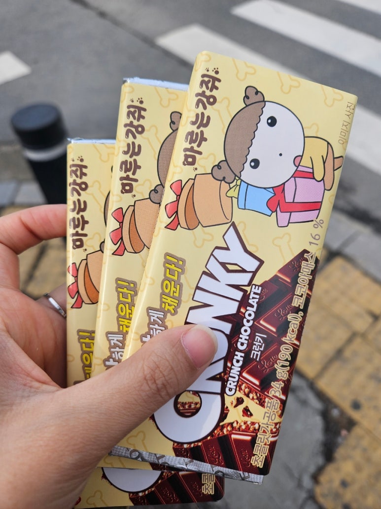 베비마루 이미지