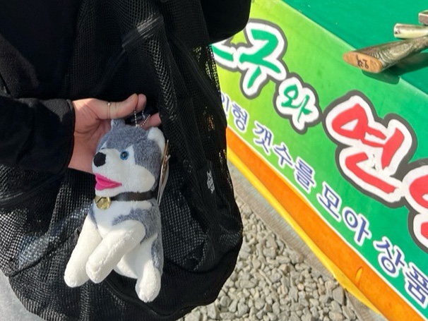 장고항오션뷰 이미지