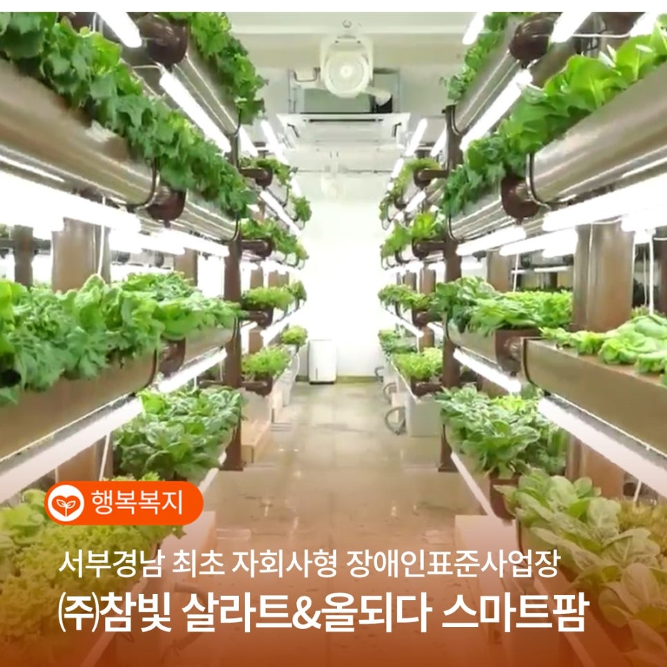주식회사 참빛 이미지