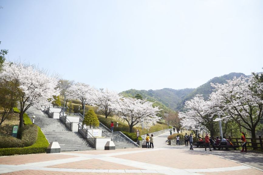 닉피씨카페 이미지