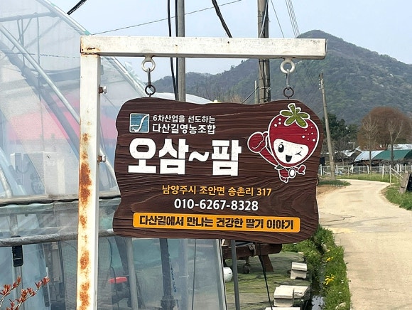 오삼~팜 이미지