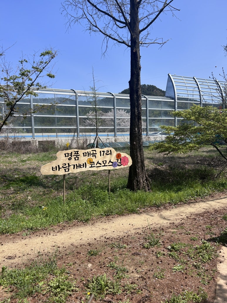 윤미하다 이미지