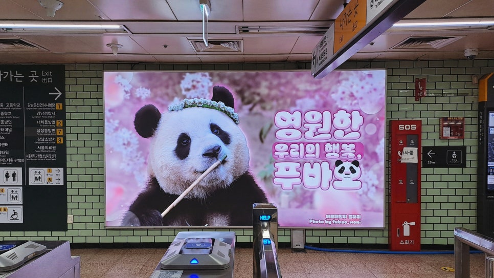 (주)브랜드발전소 이미지