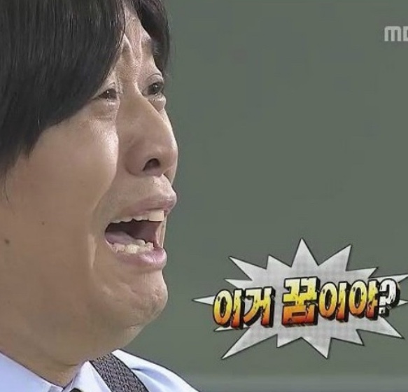 메이트피티 이미지