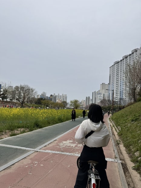 헬로봄 이미지