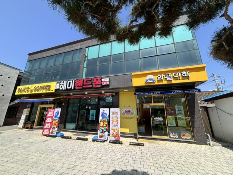 와플대학서산 이미지