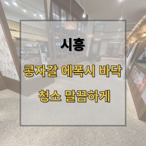투명한청년들 이미지