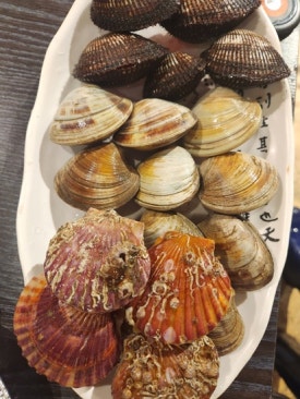 보령포차 이미지