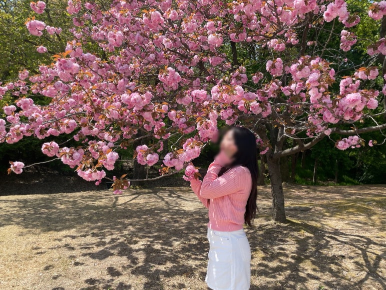 대덕동네피자 이미지
