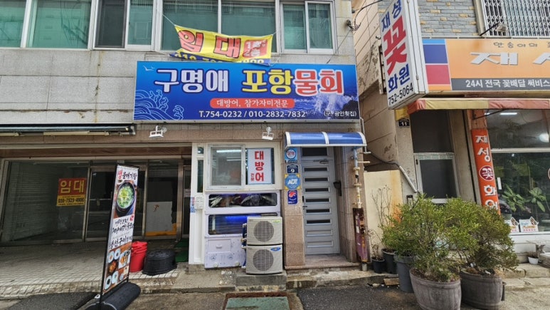 구명애포항물회 이미지