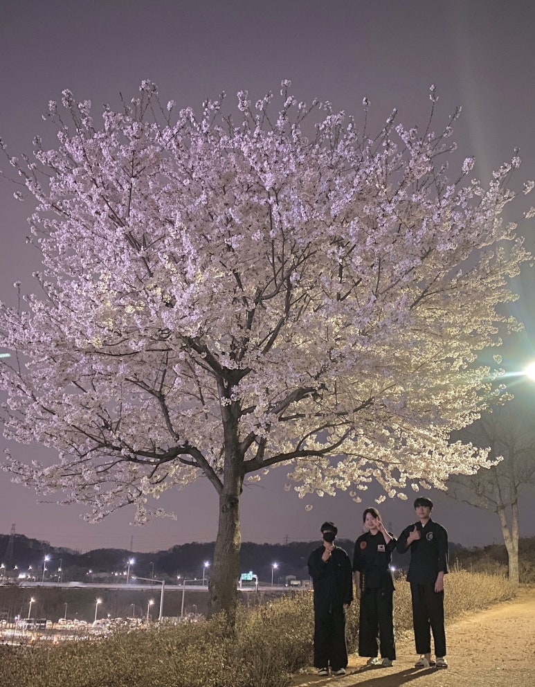 무성특공무술체육관 이미지