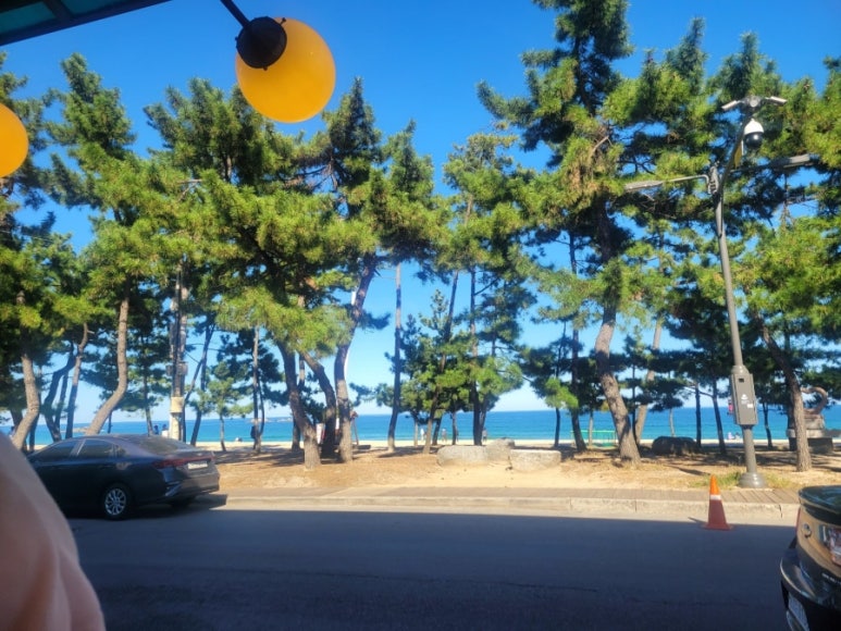 힐링강릉 이미지