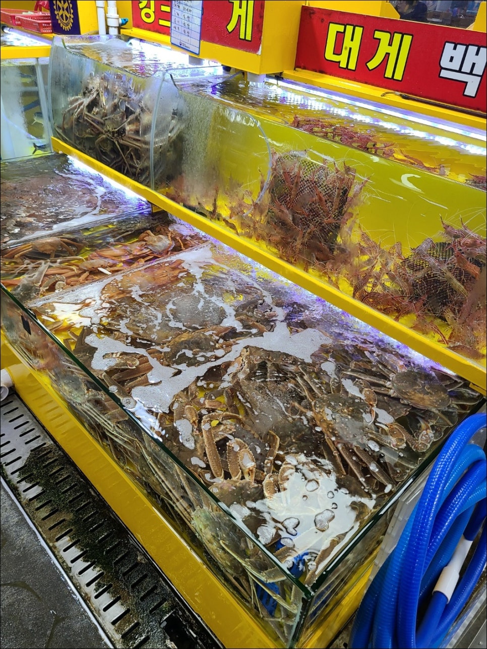 행운의횟집 이미지