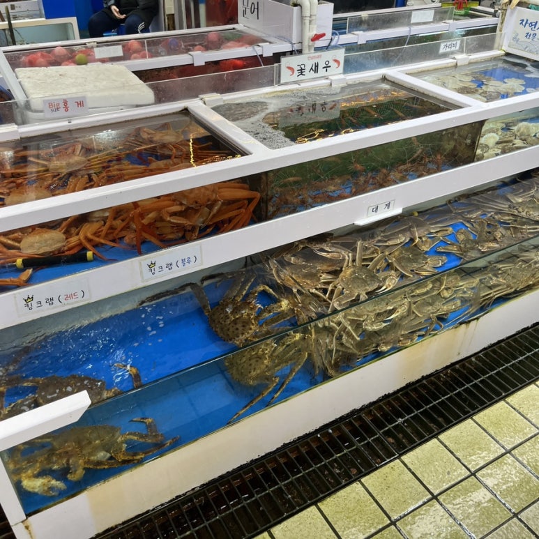 거평패밀리 이미지
